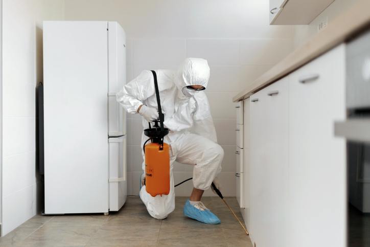 Pest Control Worker in Workwear Spraying Pesticide With Sprayer In Kitchen