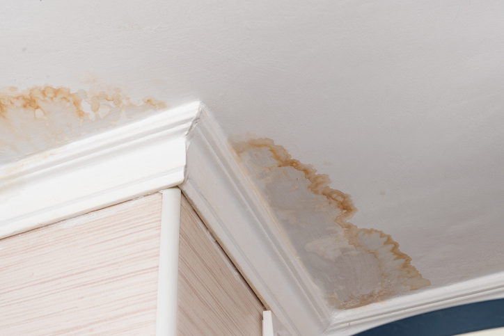 water-damaged ceiling, close-up of a stain on the ceiling