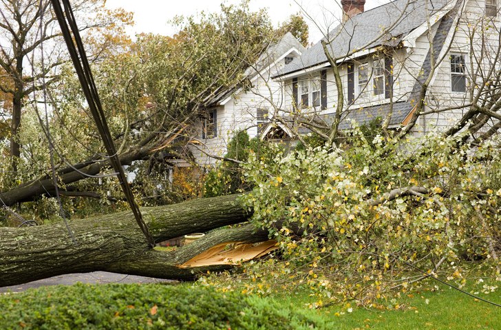 Hurricane Damaged Homes by Fallen Trees and Power Lines.