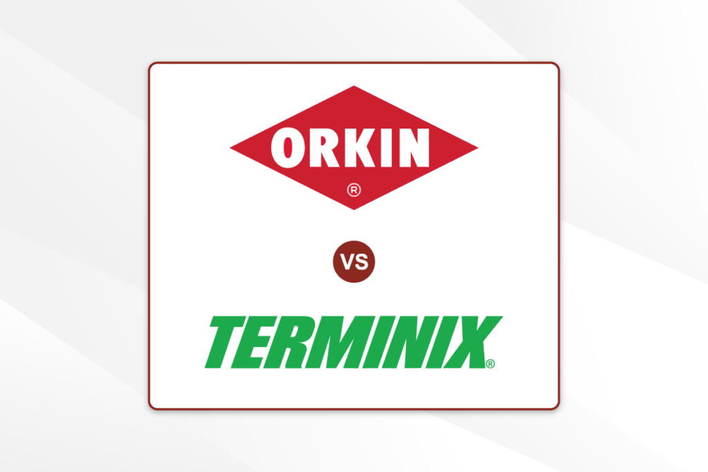 Featured image showing the logos of Terminix and Orkin for a brand comparison